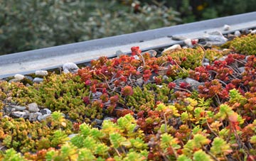 the cost of Sutcombemill green roof installation