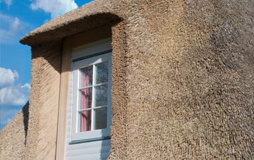 Sutcombemill thatch roof disadvantages
